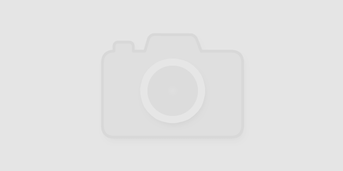 Communiqué de presse n°8