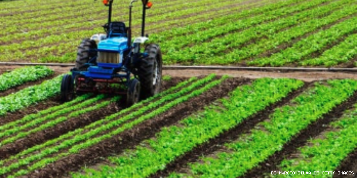 La procédure d’adoption de la loi Duplomb est loin d’être satisfaisante d’un point de vue démocratique 